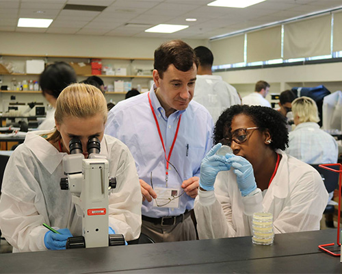students work in a lab